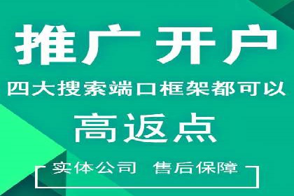 百度竞价广告投放策略案例